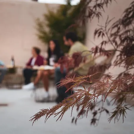 Rural La Tejera Quintanilla De Arriba